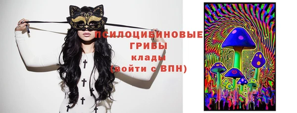 гидра Лиски