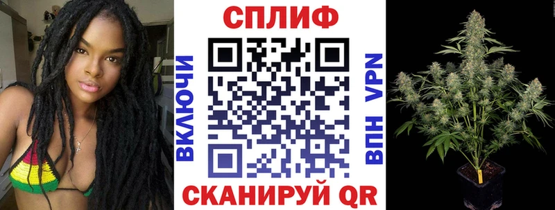 Купить закладки  Пятигорск  Шишки марихуана планчик 